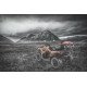 ATV Çantası (CAN-AM OUTLANDER 450/570) ATV Çantası (CAN-AM OUTLANDER 450/570)